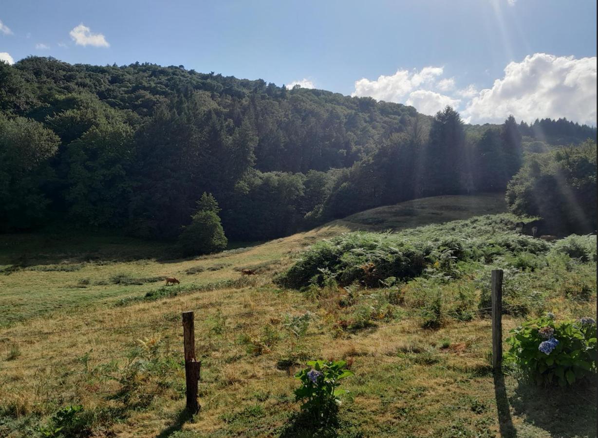 Chalet Charmant A Saint-Sylvestre Avec Terrasse Et Jardin Ambazac Eksteriør billede